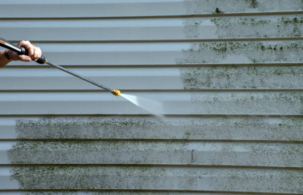 Best Roof Power Washing Services  in Holliday, TX