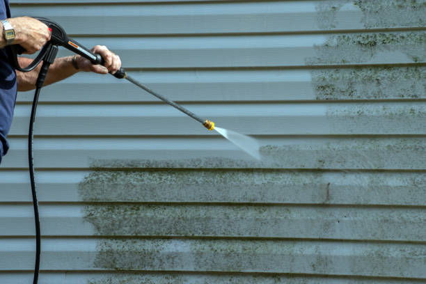 Best Affordable Pressure Washing  in Holliday, TX
